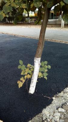 Прикрепленное изображение: кр1.jpg